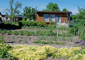  Ferienbungalow Saathoff  Зелин
